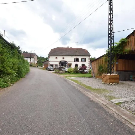 In Saint-die-des-vosges With Terrace