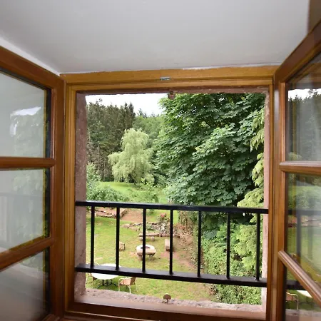 In Saint-die-des-vosges With Terrace